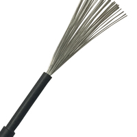 Cable de energía Solar TUV Pv 4mm 6mm 10mm 16mm 25mm Conductor de cobre Aislamiento XLPO 30A Corriente nominal para aplicaciones industriales