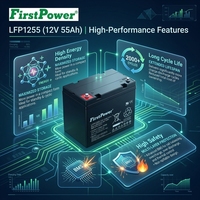 Batería de Plomo-Ácido VRLA de Alta Capacidad FirstPower LFP1255 12V 55Ah, Batería AGM de 10 Horas para Equipos Marinos y Paneles de CC Industriales