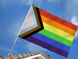 פרוגרס קשת גאוות דגל 3x5FT פוליאסטר דגל גאוות הומוסקסואלים באנר חיצוני מקורה באנר קידום הומואים lgbt - Product Image 2