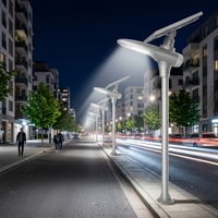 Lampadaire solaire IoT LiFePO4 IP65 LED, installation facile, garantie 3 ans avec DALI