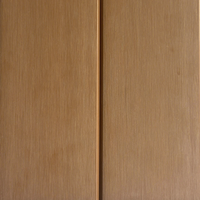 Panneaux muraux traditionnels en PVC ASA, imperméables, anti-humidité, antistatiques et insonorisants |   Revêtement mural décoratif pour divertissement