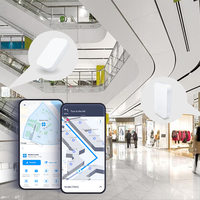 Baliza Programable KKM S8 Bluetooth 5.0 a Prueba de Manipulaciones, Baliza de Logística para Rastreo de Activos Industriales, Etiqueta Ble