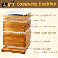 Bienenstock-Set mit 1 Tiefem Kasten & 1 Mittlerem Kasten, Bienenstockrahmen und Wachsbeschichteten Grundplatten