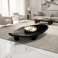 Table basse ovale irrégulière de luxe moderne et créative pour salon, en PRF (plastique renforcé de fibres de verre), noire, avec rangement facile