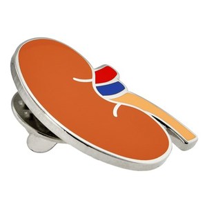 Chất lượng cao bán buôn men chân con người Organ y tế bóc tách kim loại thủ công chân Huy hiệu cứng men ve áo Pin thận cho bác sĩ - Product Image 2