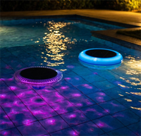 Ioniseur Solaire Portable SR006 2026 – Nouveauté Pratique et de Qualité Supérieure avec Fonction Lumineuse pour la Purification des Piscines Résidentielles