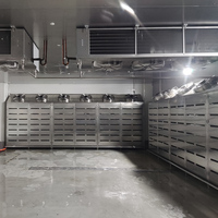 Machine de décongélation intelligente à faible consommation d'énergie, haute humidité et basse température, en acier inoxydable 304, pour la décongélation uniforme de la volaille et des fruits de mer