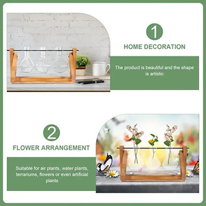 Glass Planter Bulb Vase Desktop Air Plant Terrarium With Solid Wooden Stand for Hydroponics Plants Home <b>Decor</b> - Product Image 3