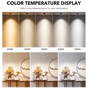 Ecolux 10W 18W 30W 3000K Negro Cilíndrico Montado en superficie Led <span class=keywords><strong>Down</strong></span> Lights Interior Hotel Corridor COB Downlight - Product Image 3