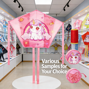 Custiomizable Wholesale Outdoor Activities <strong>for</strong> Kids Multi Theme <strong>Kite</strong> Flying - Product Image 3