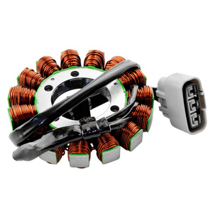 Bobina de Estator de Generador para Motocicleta <span class=keywords><strong>KAWASAKI</strong></span> 21003-0072 <span class=keywords><strong>ZX</strong></span>-<span class=keywords><strong>10R</strong></span> <span class=keywords><strong>NINJA</strong></span> ZX1000 E <span class=keywords><strong>ZX</strong></span> 1000 2008-2010 <span class=keywords><strong>2009</strong></span> - Product Image 3