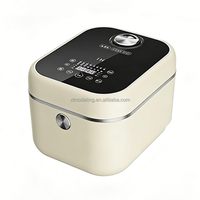 Cuisinière à riz électrique intelligente 4L IH avec minuterie préréglée, multifonctionnelle pour soupes et bouillies