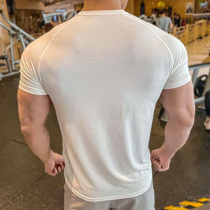 Cá Nhân Áo Thun Người Đàn Ông Áo Thun Thể Thao T Áo Sơ Mi Phòng Tập Thể Dục Tùy Chỉnh Spandex / Polyester Nén T-Shirts Người Đàn Ông Phòng Tập Thể Dục Áo Phông Quần Áo Thể Thao - Product Image 2