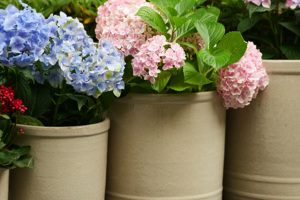 Ensemble de pots à fleurs en terre cuite, finition émaillée, design cylindrique, pour la maison, le jardin, l'intérieur et l'extérieur, durable, écologique, vente en gros - Product Image 4