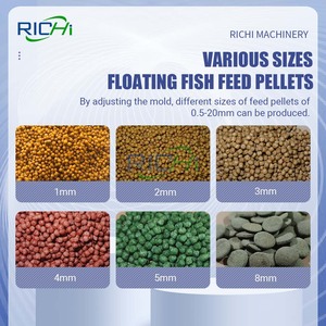 Richi CE chứng nhận 1-2t/h cá da trơn cá rô phi nhà máy thức ăn cho cá - Product Image 2