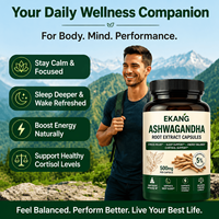 Capsules d'extrait de racine d'Ashwagandha CGMP de notre usine américaine – Complément Herbal à Marque Blanche Qualité Alimentaire pour Adultes – Soulagement du Stress, Sommeil et Énergie