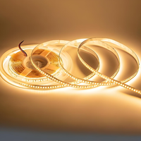 Tira de Luces LED Inteligente de 120 LED/m con Conexión USB para Hoteles, 3000K-6500K, RA80, Un Solo Color, SMD 2835, 12V Blanco Cálido, 24V, IP20, 8mm