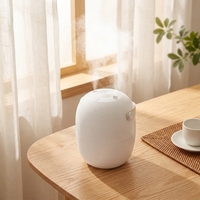 Humidificateurs rechargeables avec buse de brumisation, mini humidificateur électrique portable USB pour chambre à coucher, bureau et maison