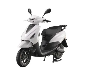 Alla ricerca di agenti per distribuire i nostri prodotti scooter elettrici ciclomotore medaglia elettrica moto