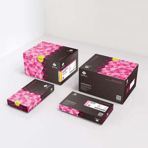 แผ่นบ่อน้ำลึกแบบ BSH06M3ช่องใส่สินค้าตัวอย่างขนาด2.2มล. <span class=keywords><strong>96</strong></span>ไม่มีการรั่วไหลแผ่น <span class=keywords><strong>PCR</strong></span> <span class=keywords><strong>96</strong></span>ดีสำหรับห้องปฏิบัติการ - Product Image 3