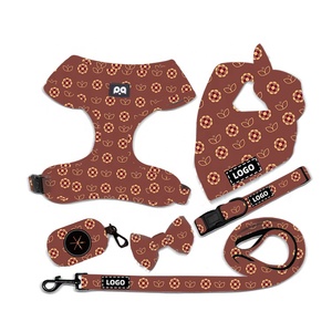 QQPETS özelleştirilebilir çeşitli stil köpek tasma ve zincir seti, kişiselleştirilmiş Logo ile ayarlanabilir naylon Pet ürünleri - Product Image 2