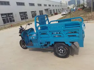 Delivery Cargo Express Country Farm Freight Village Traffic Tool Shipment Transport Three Wheels Electric Pickup Truck Tricycles