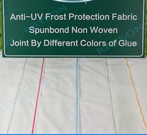 Landwirtschaft Vlies Polypropylen Material Für Pflanzen Abdeckung/Grün Haus Abdeckung - Product Image 2