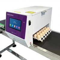 Nueva Impresora Automática de Alta Calidad TIJ con Tinta UV para Codificación de Huevos y Marcado de Fecha de Caducidad