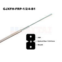Pengalaman Terpercaya 17 Tahun Menyediakan Kabel Fiber Optik GJXFH FRP 1,2,4 Core FTTH Drop Cable untuk Kebutuhan Sumber Daya Stasiun Lengkap