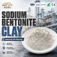 Argile de blanchiment activée super efficace certifiée ISO9001 SGS pour le processus d'élimination des acides dans l'huile lubrifiante industrielle