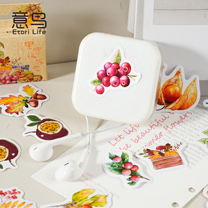 46 hojas por caja pegatinas en caja coleccionista de frutas retro <span class=keywords><strong>Goo</strong></span> tarjeta pegatinas manual álbum DIY sello decorativo pegatinas - Product Image 4