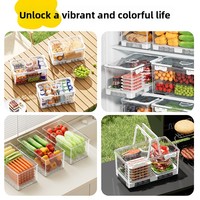 Boîte de rangement alimentaire rectangulaire portable en plastique double couche de style japonais, ensemble de thé pour céréales, boîte à lunch pour réfrigérateur, utilisation en extérieur