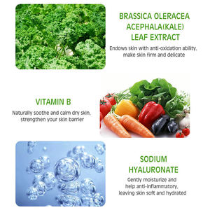 מותג פרטי כרוב ויטמין <span class=keywords><strong>B</strong></span> סרום עם אלוורה לחות נוגד חמצון פנים סרום - Product Image 5