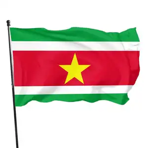 Huiyi 90X150Cm Republiek Suriname Flag Promotional Indoor And Outdoor Decoration