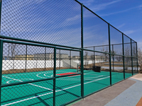 Clôture grillagée cyclonique décorative en PVC galvanisé de 6 pieds à prix réduit, idéale pour les terrains de football et de basketball