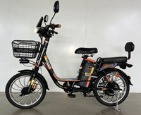 Vélo électrique deux places avec dossier et panier avant en fer, longue autonomie, batterie au plomb-acide, vélo électrique de ville