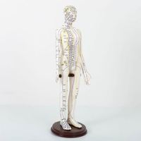 Modèle humain féminin jaune et blanc de 52 cm de hauteur avec points d'acupuncture anglais, en PVC souple, pour hôpital