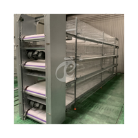 Personnalisation du système automatique de cages de couvaison de volaille galvanisé à chaud 120 oiseaux de type A pour les poussins de pondeuse d'un jour au Nigeria