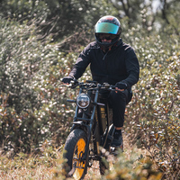Almacén DE LA UE 2024 nueva motocicleta bicicleta eléctrica 1000W 2000W 20 pulgadas bicicleta de grueso neumático todoterreno 48V 60V 25AH bicicleta de montaña eléctrica