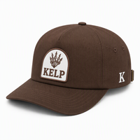 Casquette de baseball personnalisée 5 panneaux unisexe marron avec patch Tombstone, profil structuré, en sergé de coton, fermeture Strapback pour l'extérieur