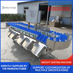 Commercial Weight <b>Grading</b> <b>Fruit</b> <b>Machine</b> Stainless Steel Potato Sorting <b>Grading</b> <b>Machine</b> Reemoon Sorting <b>Machine</b> - Product Image 5