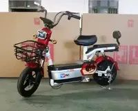 Bicicleta Eléctrica de 2 Plazas con Marco de Acero, Motor sin Escobillas de 500W, 3 Velocidades, Suspensión Trasera, Batería de Plomo-Ácido de 48V, Ruedas de 14 Pulgadas, 50 km/h, Sensor, Ligera