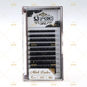 Extensions de cils individuelles de qualité supérieure en fibres de PBT coréennes personnalisées, <span class=keywords><strong>volume</strong></span> classique, 0,05 0,07 mm, courbure C D - Product Image 2