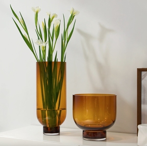 Transparent Coastal-Style <b>Glass</b> <b>Vase</b> with Straight Tube Simple High-End Brown Arrangement for Living Room or Hotel - Product Image 6