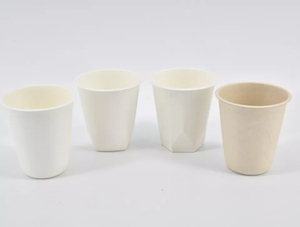 Vaso Desechable Biodegradable <span class=keywords><strong>de</strong></span> Bagazo <span class=keywords><strong>de</strong></span> <span class=keywords><strong>Caña</strong></span> <span class=keywords><strong>de</strong></span> Azúcar <span class=keywords><strong>de</strong></span> 8 oz, Sin Recubrimiento, para Bebidas Calientes, Diseño Floral, <span class=keywords><strong>Blanco</strong></span>/Natural - Product Image 6