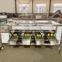Roller Sizer Cherry Tomatensorteermachine Fruit- en groenteclassificeermachine Ball Fruit Roller Sorteermachine in de aanbieding