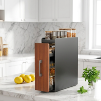 Meuble de rangement de cuisine moderne multifonctionnel en acier au carbone à double niveau, étroit et stable, pour épices, avec plateau étanche