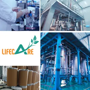 Lifecare cung cấp lớp mỹ phẩm 99% Azelaic Bột axit