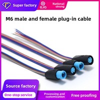 M6 Aviation Plug 2-4 Core Connecteur Étanche Mâle à Femelle Câble D'accueil 3P 4P Broches DC RCA Type 2A Courant Nominal Cordon D'alimentation