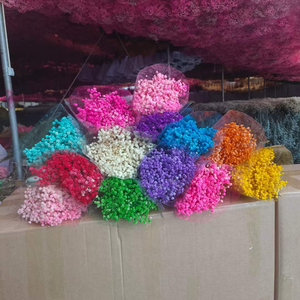 Venta al por Mayor <span class=keywords><strong>de</strong></span> Gypsophila Natural Seca, 120g/Bolsa, 400g/Bolsa, Ramo <span class=keywords><strong>de</strong></span> Flores <span class=keywords><strong>de</strong></span> Gypsophila para Centros <span class=keywords><strong>de</strong></span> Mesa <span class=keywords><strong>de</strong></span> Boda - Product Image 5